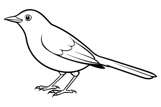 blackbird silhouette line art vector illustration with a white background