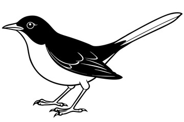 Obraz premium blackbird silhouette line art vector illustration with a white background