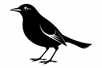 blackbird silhouette line art vector illustration with a white background