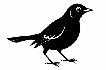 blackbird silhouette line art vector illustration with a white background