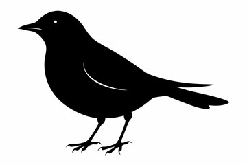 Obraz premium blackbird silhouette line art vector illustration with a white background
