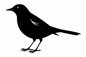 blackbird silhouette line art vector illustration with a white background