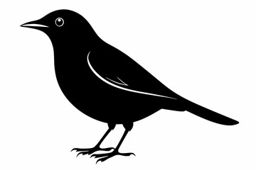 blackbird silhouette line art vector illustration with a white background