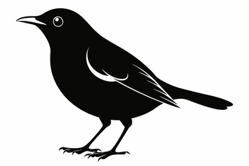 Obraz premium blackbird silhouette line art vector illustration with a white background