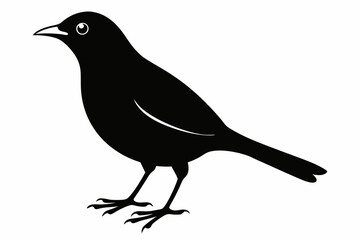 blackbird silhouette line art vector illustration with a white background