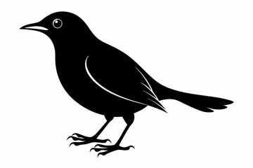Fototapeta premium blackbird silhouette line art vector illustration with a white background