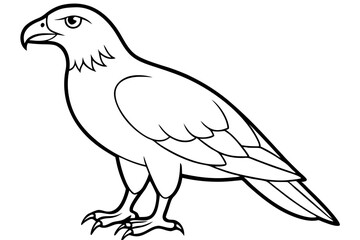 Fototapeta premium buzzard silhouette line art vector illustration with a white background