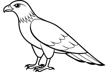 buzzard silhouette line art vector illustration with a white background