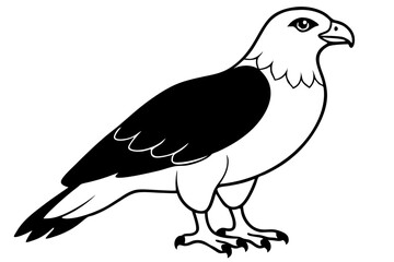 buzzard silhouette line art vector illustration with a white background