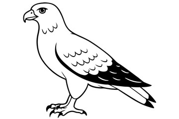 buzzard silhouette line art vector illustration with a white background