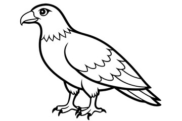 buzzard silhouette line art vector illustration with a white background