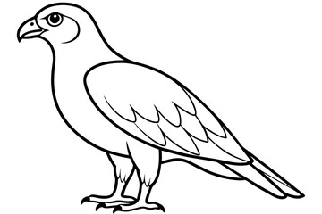 buzzard silhouette line art vector illustration with a white background