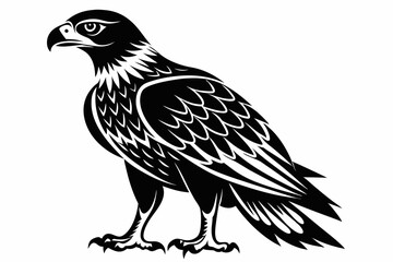 Fototapeta premium buzzard silhouette line art vector illustration with a white background