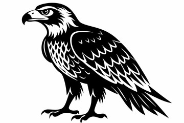 Obraz premium buzzard silhouette line art vector illustration with a white background