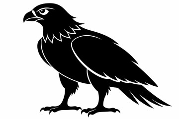 buzzard silhouette line art vector illustration with a white background