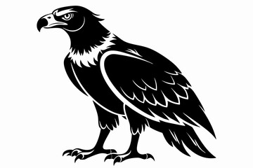 Obraz premium buzzard silhouette line art vector illustration with a white background