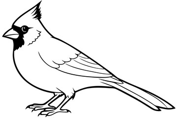 cardinal silhouette line art vector illustration with a white background