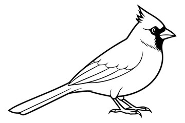 cardinal silhouette line art vector illustration with a white background