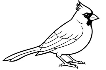 cardinal silhouette line art vector illustration with a white background