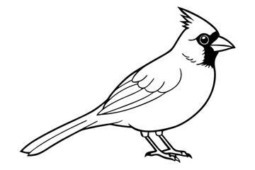 cardinal silhouette line art vector illustration with a white background