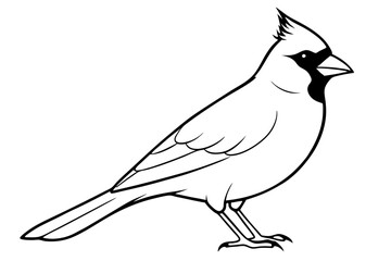 cardinal silhouette line art vector illustration with a white background