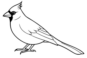 cardinal silhouette line art vector illustration with a white background