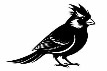 Obraz premium cardinal silhouette line art vector illustration with a white background