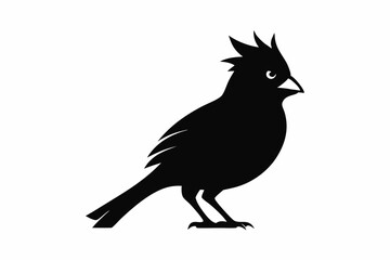 cardinal silhouette line art vector illustration with a white background