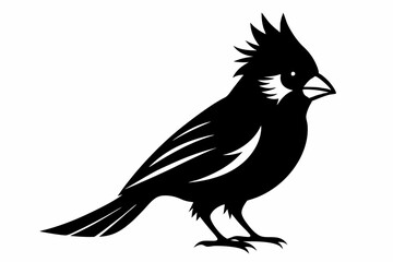 cardinal silhouette line art vector illustration with a white background