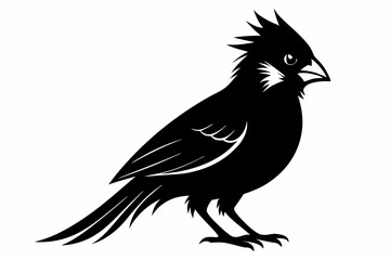 cardinal silhouette line art vector illustration with a white background