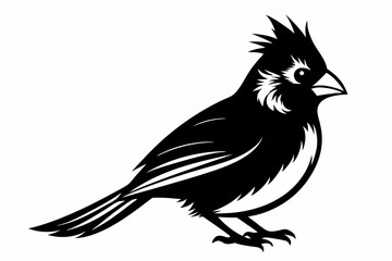 cardinal silhouette line art vector illustration with a white background