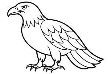 eagle silhouette line art vector illustration with a white background
