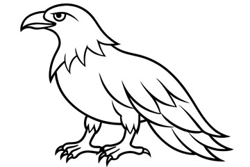 eagle silhouette line art vector illustration with a white background
