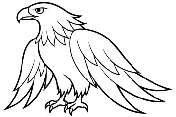 eagle silhouette line art vector illustration with a white background