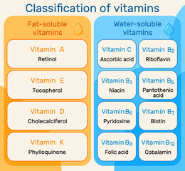 Classification of vitamins infographic. Fat-soluble and water-soluble groups