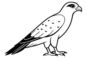 falcon silhouette line art vector illustration with a white background