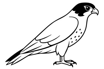 Fototapeta premium falcon silhouette line art vector illustration with a white background
