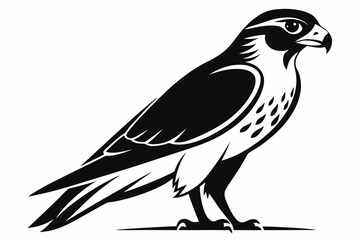 Fototapeta premium falcon silhouette line art vector illustration with a white background