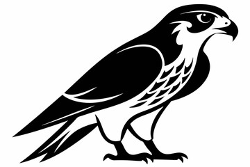 falcon silhouette line art vector illustration with a white background