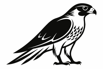 falcon silhouette line art vector illustration with a white background