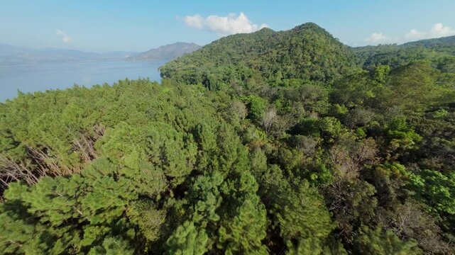 Flying Over The Dense Trees At Aniana Vargas National Park With Hatillo Dam In Dominican Republic. - aerial FPV