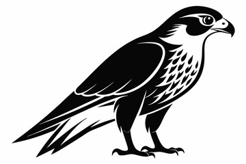 falcon silhouette line art vector illustration with a white background