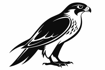 Obraz premium falcon silhouette line art vector illustration with a white background