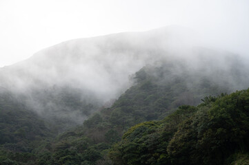 Misty fog surrounding in the valley of Yangmingshan National Park, in Taipei, Taiwan.