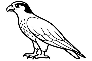 hawk silhouette line art vector illustration with a white background