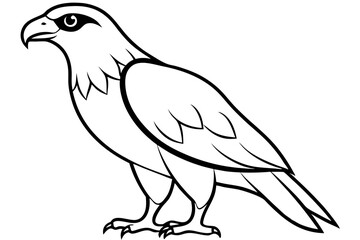 hawk silhouette line art vector illustration with a white background