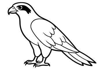 hawk silhouette line art vector illustration with a white background