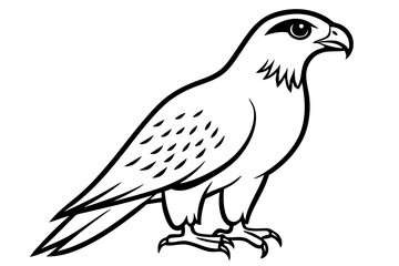 hawk silhouette line art vector illustration with a white background