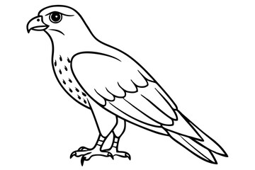 hawk silhouette line art vector illustration with a white background