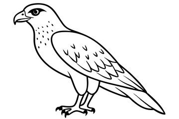 hawk silhouette line art vector illustration with a white background